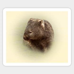 Wombat Sticker